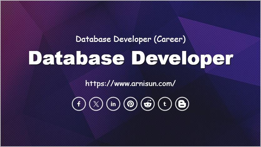 Database Developer