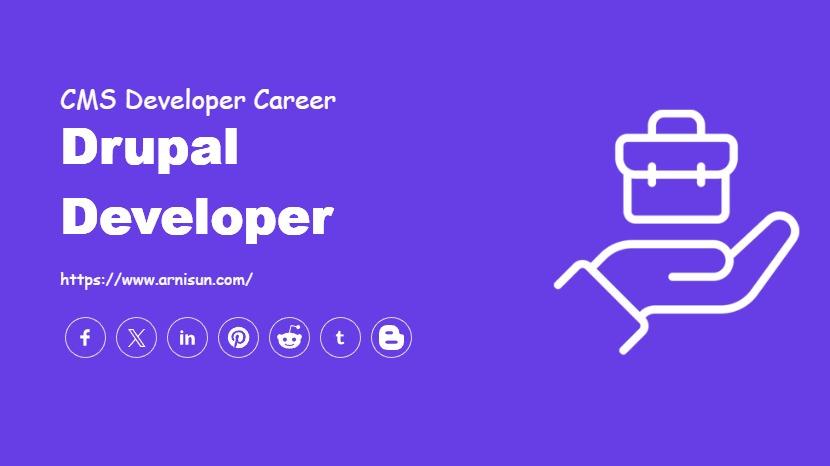 Drupal Developer