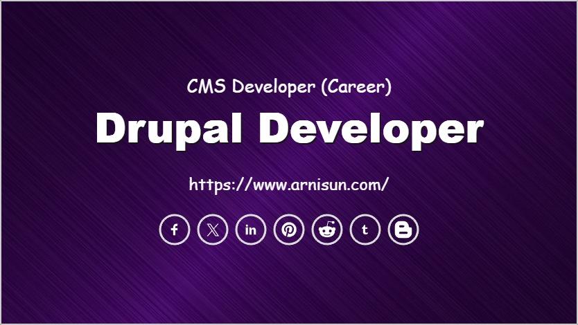 Drupal Developer