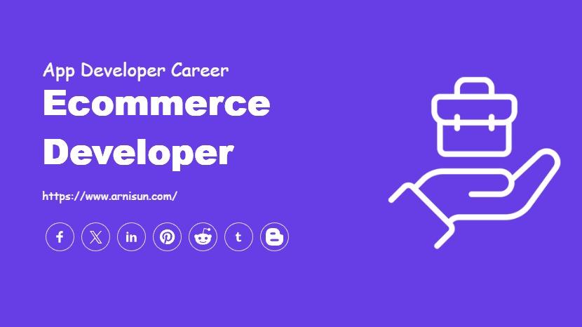 Ecommerce Developer