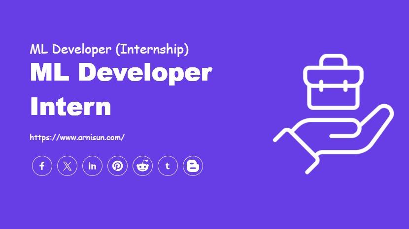 ML Developer Intern