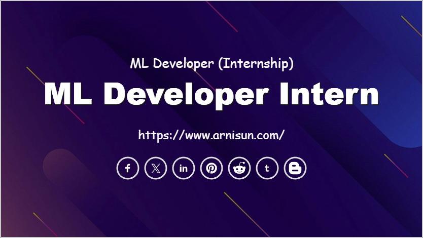 ML Developer Intern