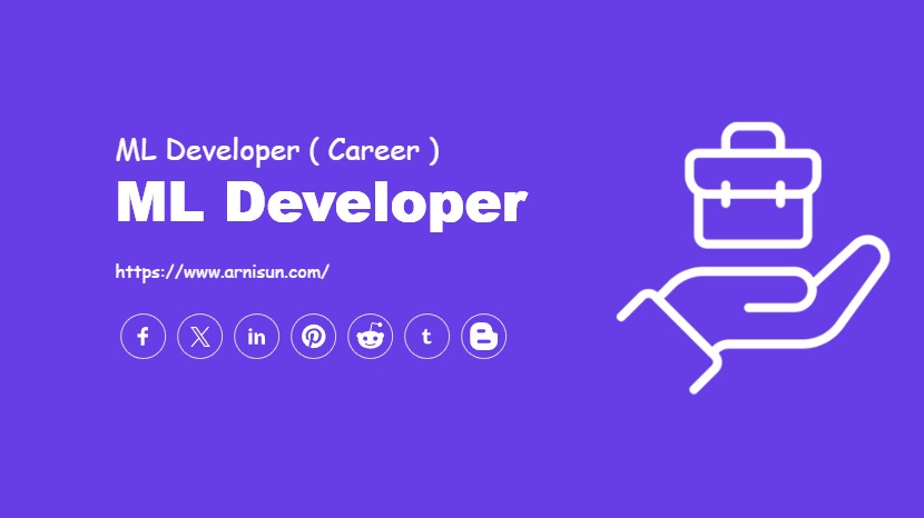 ML Developer
