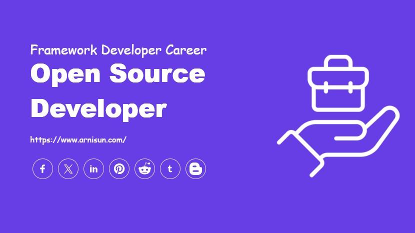Open Source Developer