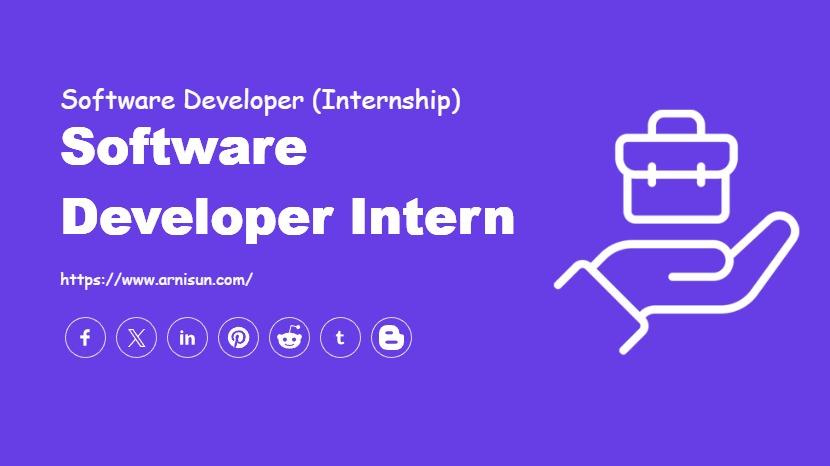 Software Developer Intern