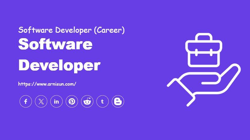 Software Developer