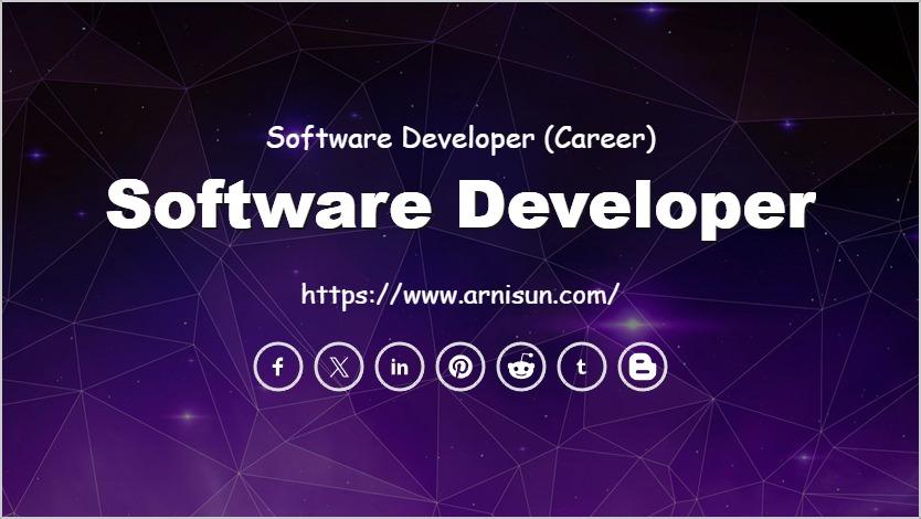 Software Developer