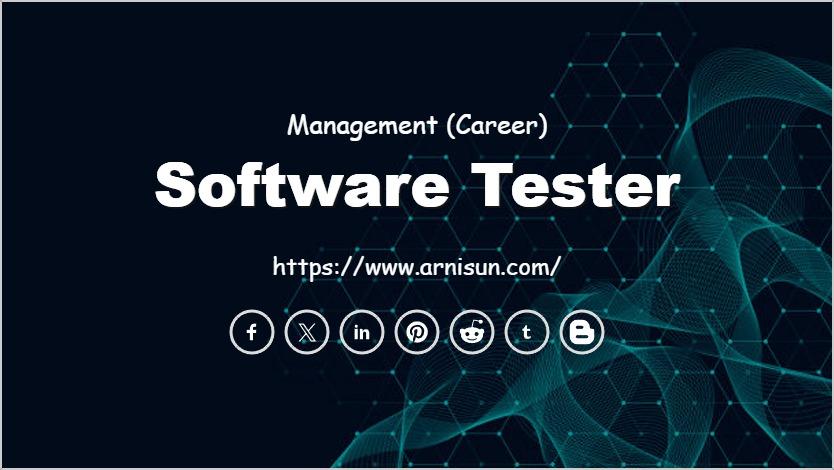 Software Tester