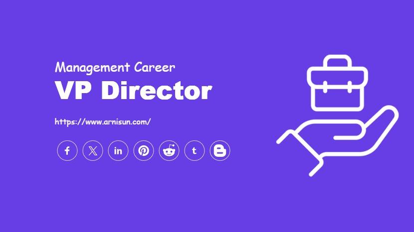 VP Director
