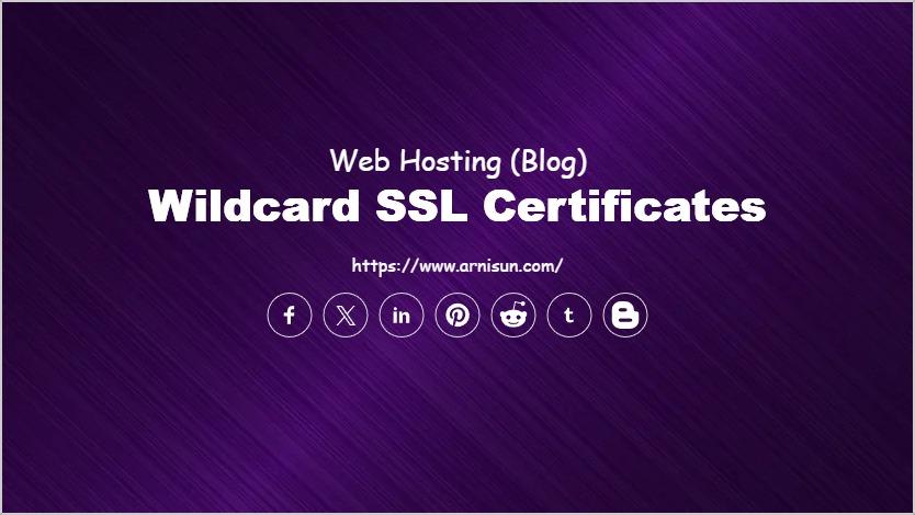 Wildcard SSL Certificates